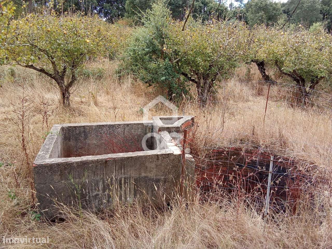 Fantástico terreno agrícola, localizado na freguesia de Roliça, no con - Grande imagem: 4/27