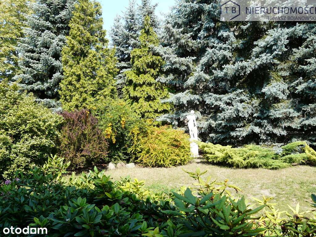 SPRZEDAM WILLĘ W SZAMOTUŁACH-CENTRUM-9