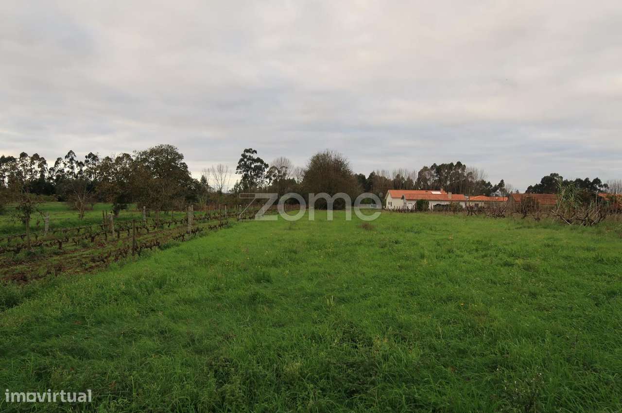 Terreno para construção com 1300m2 - Grande imagem: 2/15