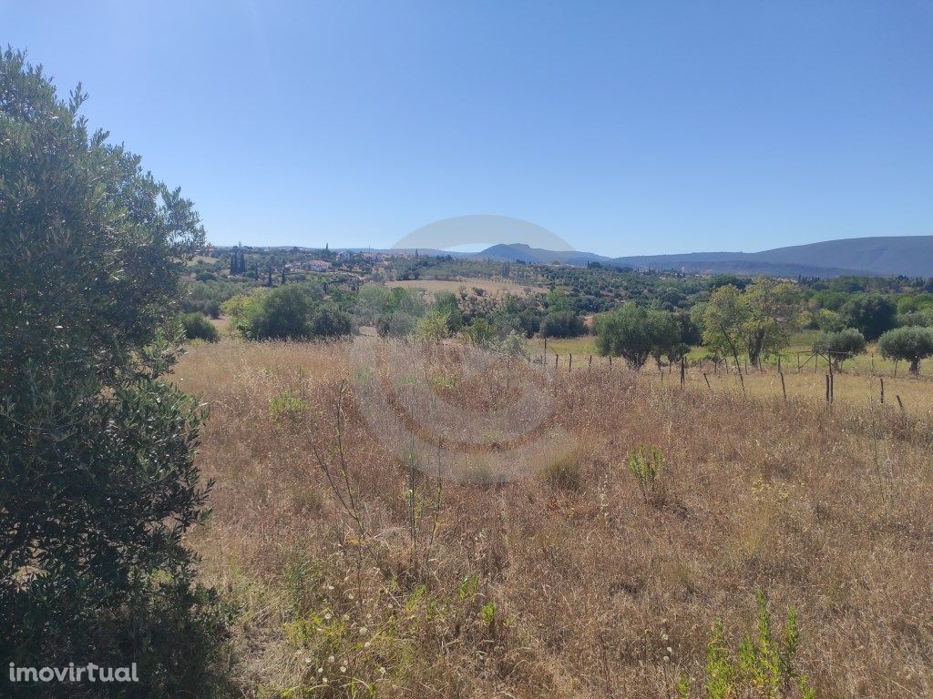 Terreno nas Marruas, torres Novas