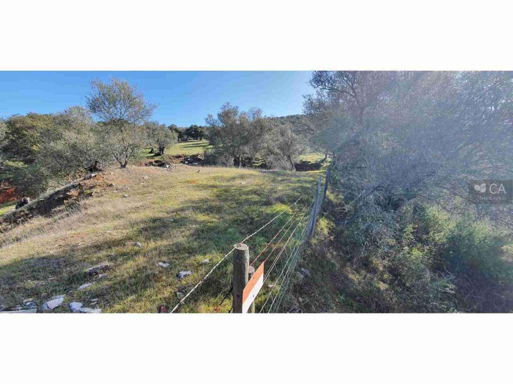 Terreno para venda - Grande imagem: 2/4