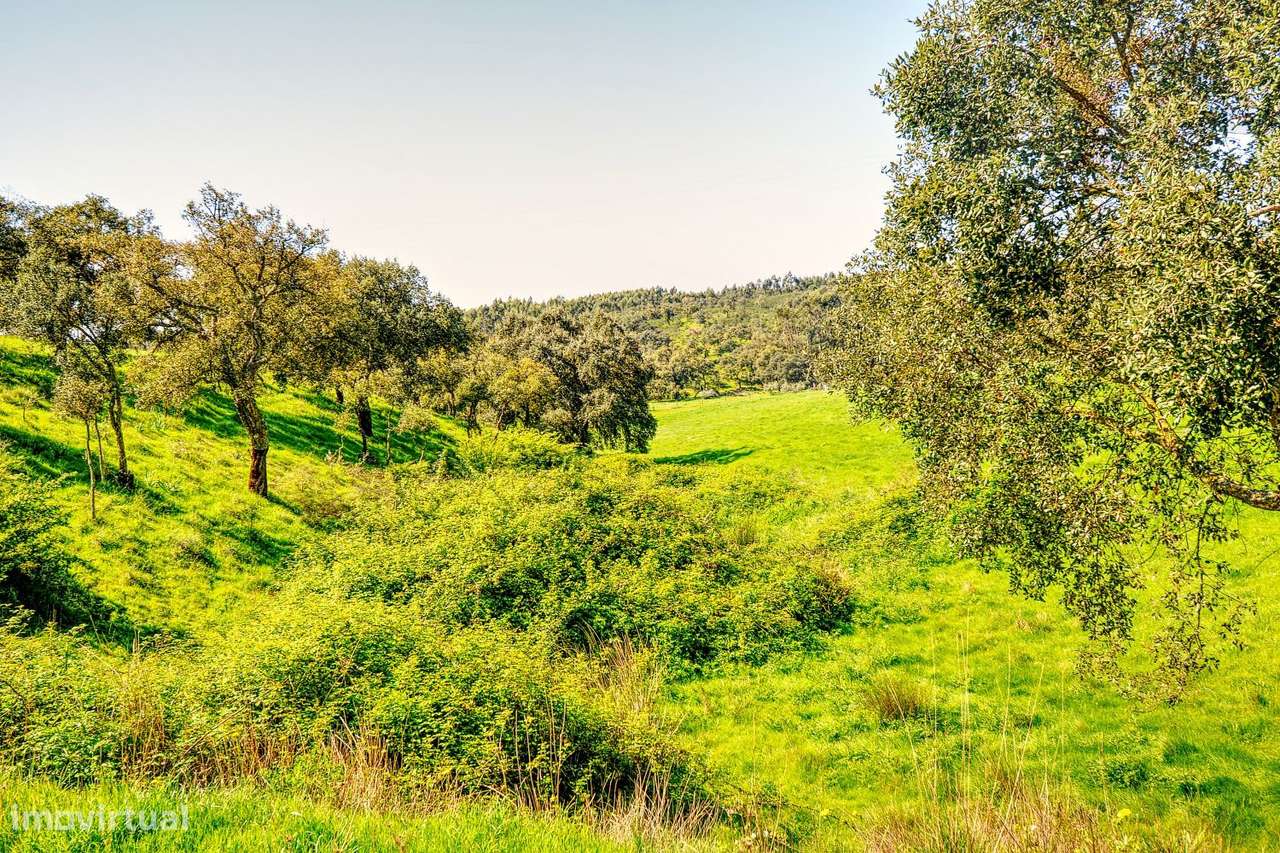 TERRENO EM S.BARTOLOMEU DA SERRA-40