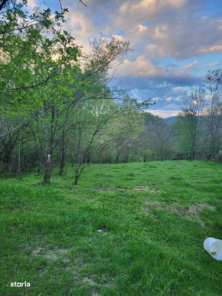 Teren intravilan Provita de sus, Prahova 1500 mp - Imagine principală: 5/5