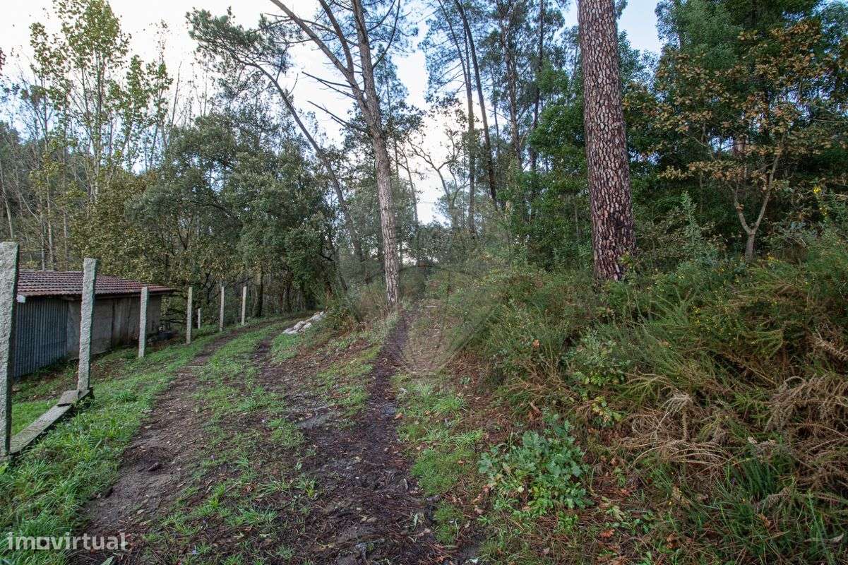 Terreno  para venda - Grande imagem: 4/16