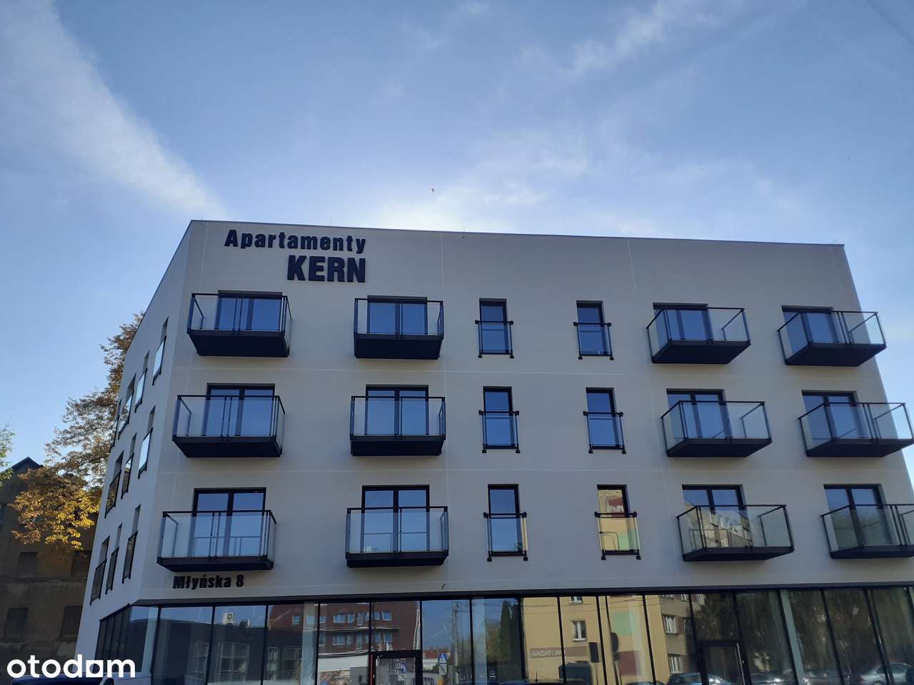 Mieszkanie 3 pokojowe 66m2 - centrum !!! - Pełny obrazek: 4/9