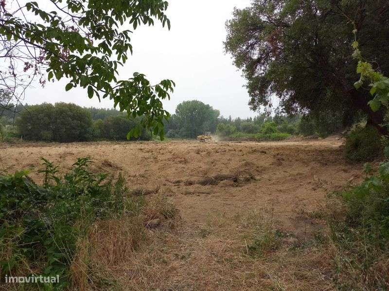 Terreno de 1,3 Ha com Ribeiro e Viabilidade de Construção - Grande imagem: 5/12