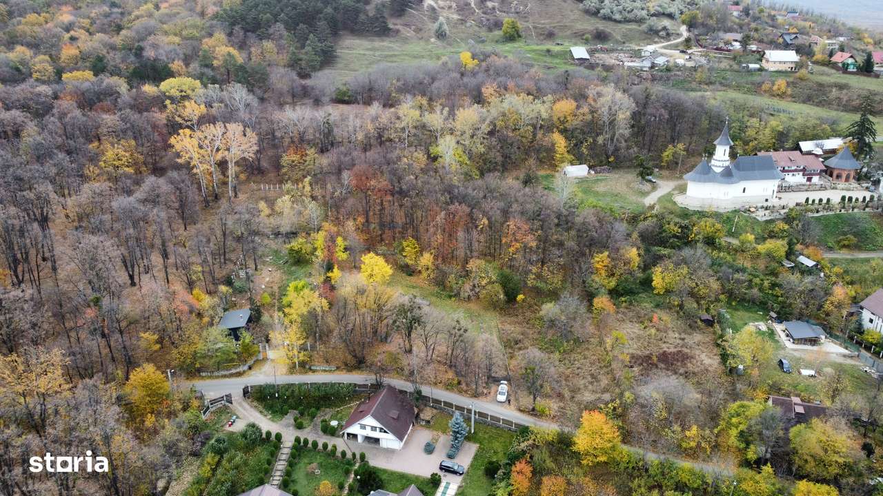 Teren intavilan iasi Bucium 3400 mp mixt padure/liber - Imagine principală: 1/7