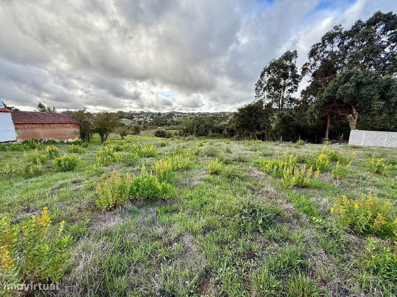 Terreno para construção - a 15 min da praia de São Martinho do Porto - Grande imagem: 5/7