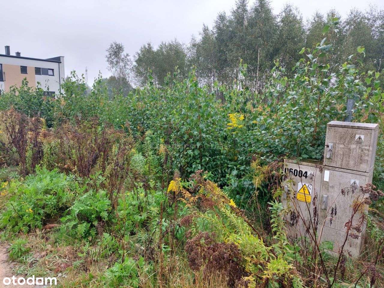 Działki do sprzedaż w Skotnikach z W Z - Pełny obrazek: 5/7