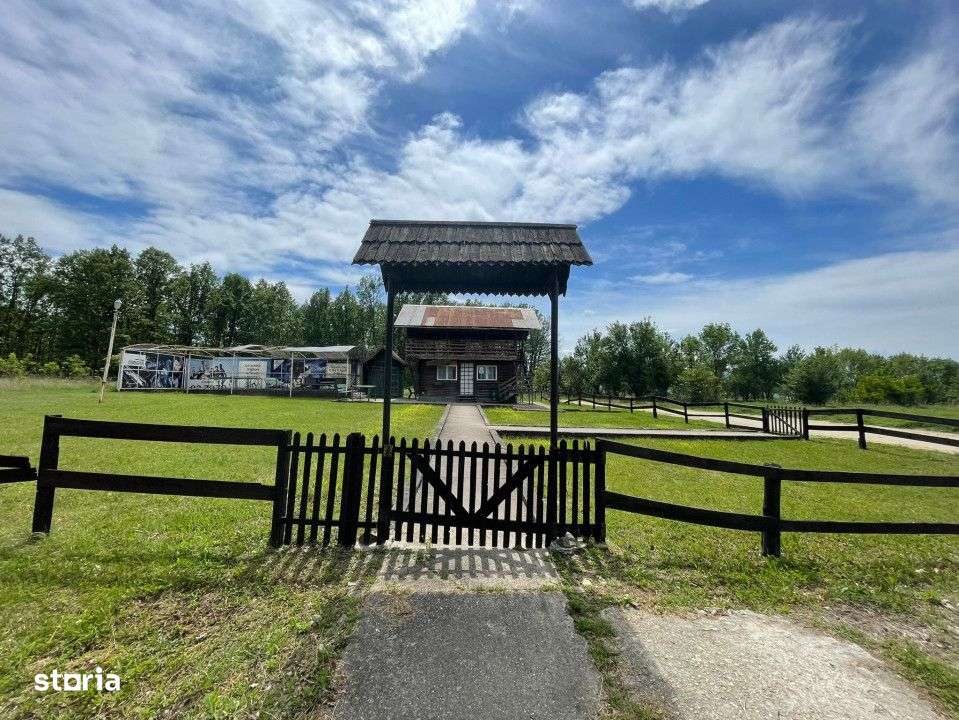 Vanzare teren *oportunitate investitie* in Carbunesti-Sat, la DN 67 B - Imagine principală: 4/9