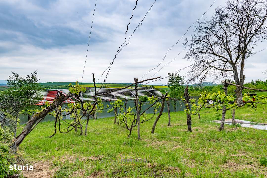 Casa din chirpici, bucatarie de vara si 1.34 ha de teren, Ardeoani-4