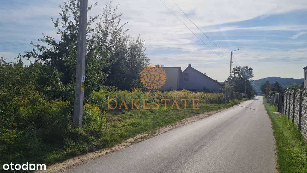 234/9676/OGS - Pełny obrazek: 4/10