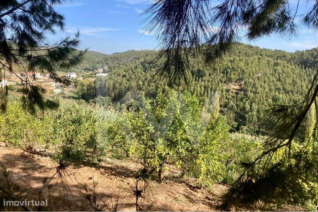 Limoal na Zona Oeste | Concelho de Mafra - Grande imagem: 4/30