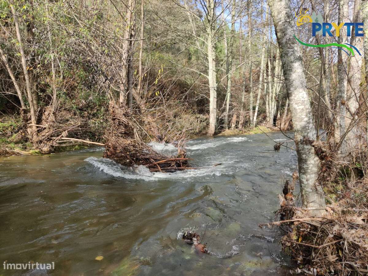 Ruína a confinar com Ribeira-20