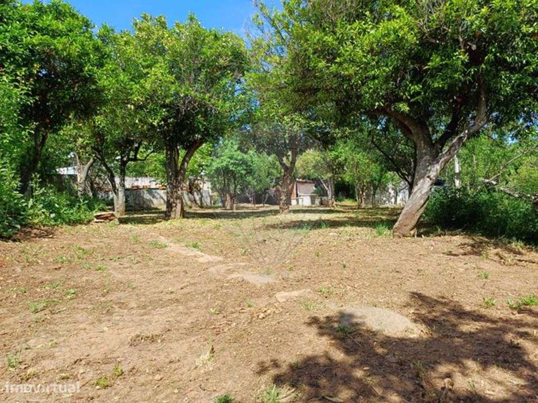 Terreno  para venda - Grande imagem: 5/8