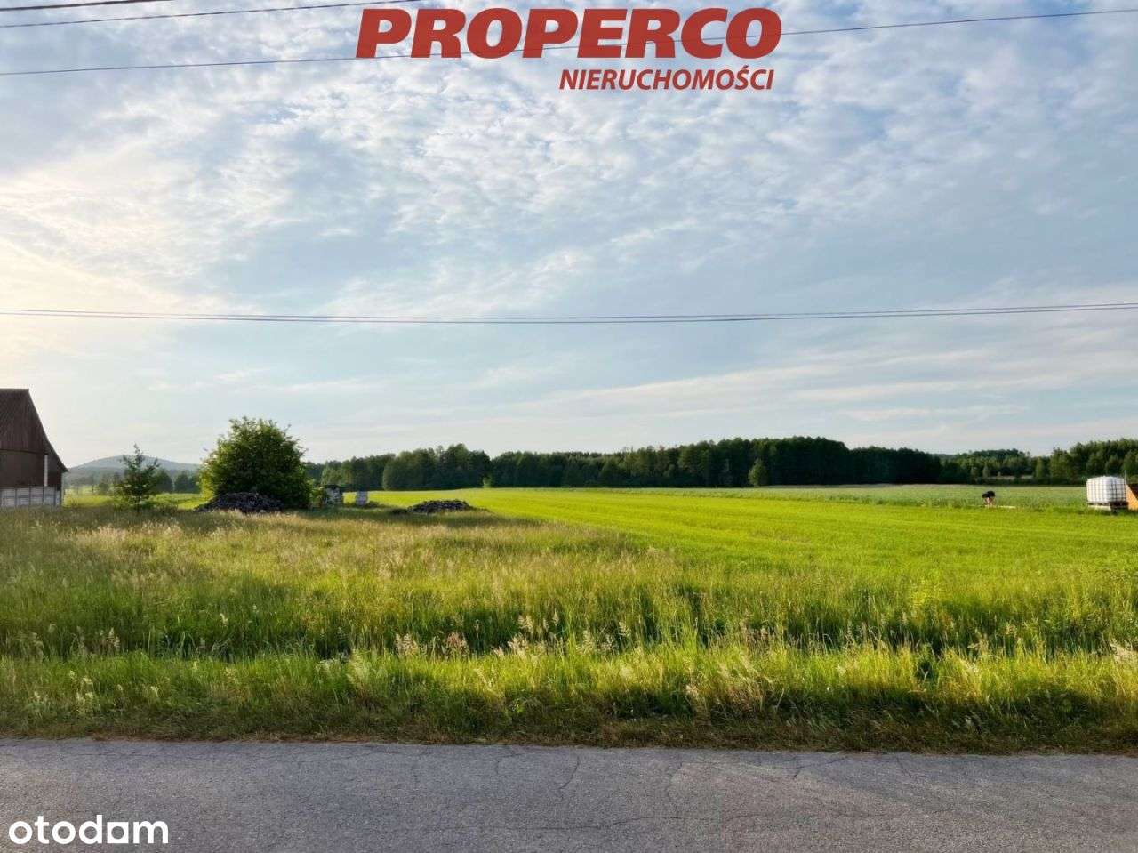 Działka 1500m2, Piotrowiec gm.Łopuszno - Pełny obrazek: 4/12