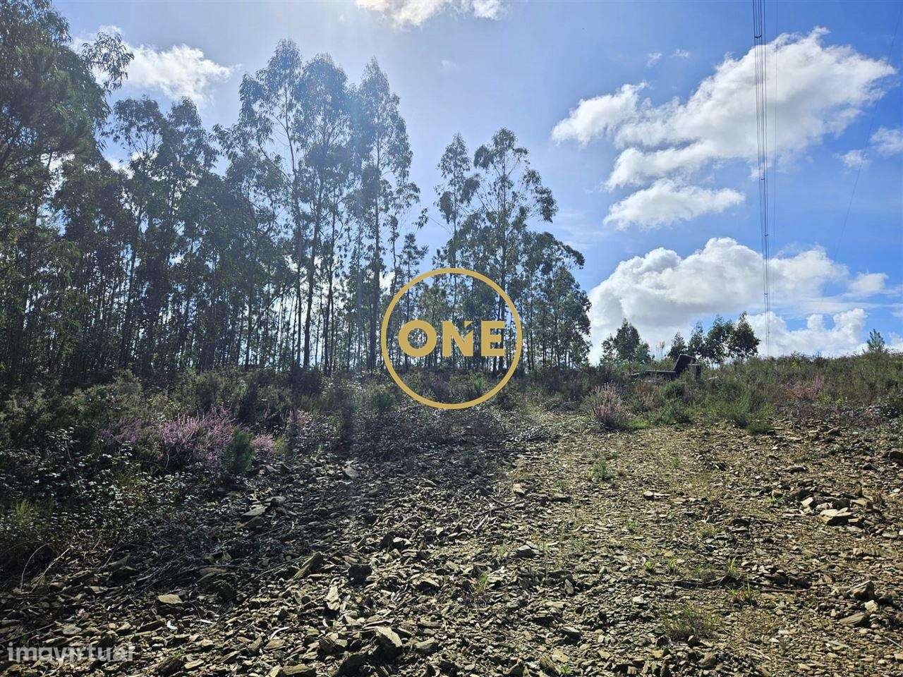 Terreno Florestal em Balazar - Grande imagem: 4/17