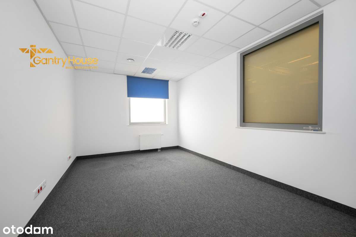 428361 - Pełny obrazek: 5/13