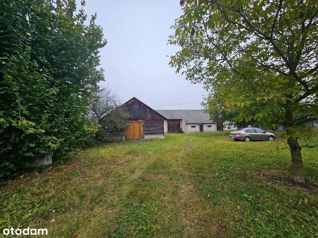 Malownicze Siedlisko, rzeka, las, Zalew Nielisz-5