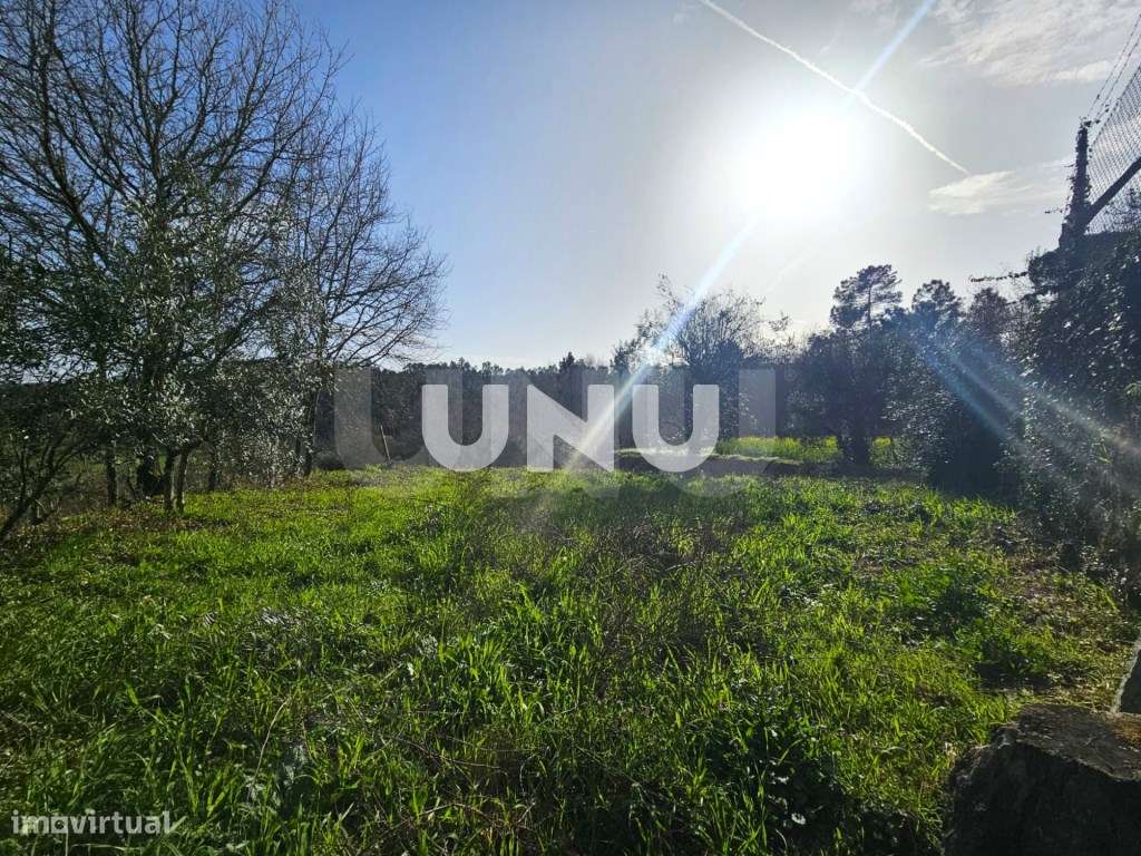 Terreno Rústico - Envolvente de Natureza - Grande imagem: 2/21