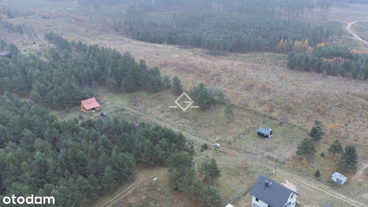 Kaszuby | Cicha Okolica | Działka Budowlana - Pełny obrazek: 4/4