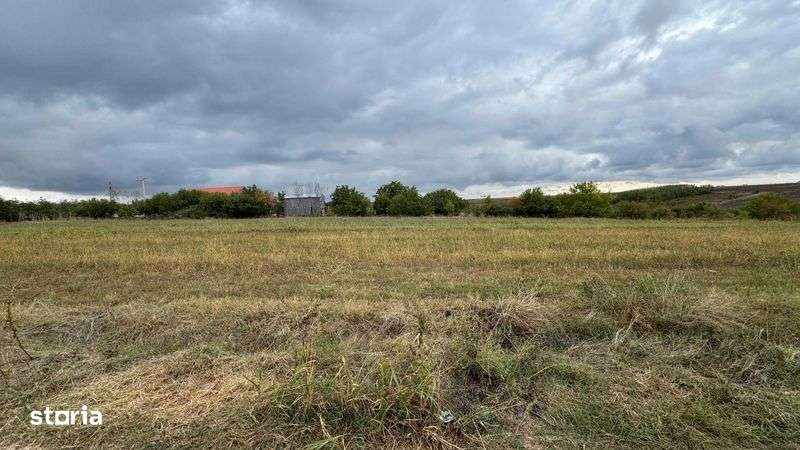 Vand teren Intravilan 1400 MP Vlad Tepes Giurgiu langa Comana - 25E/MP - Imagine principală: 5/8