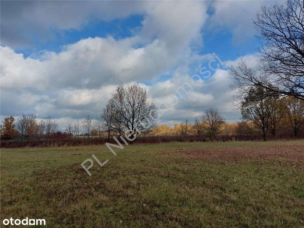 Działka Z Wieloma Możliwościami. - Pełny obrazek: 4/12