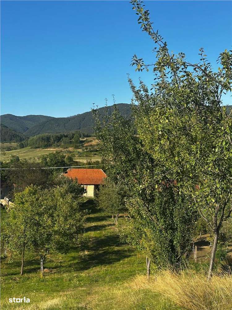 Reco Casa cu teren in Budureasa, langa Stana de Vale - Imagine principală: 4/12