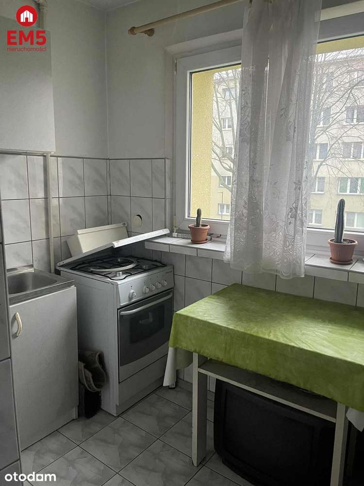 Kawalerka na start-2