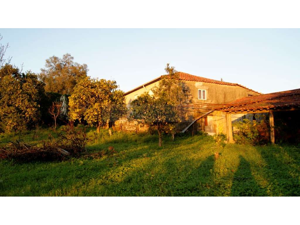 Quinta Tradicional com Elevado Potencial em Braga-44