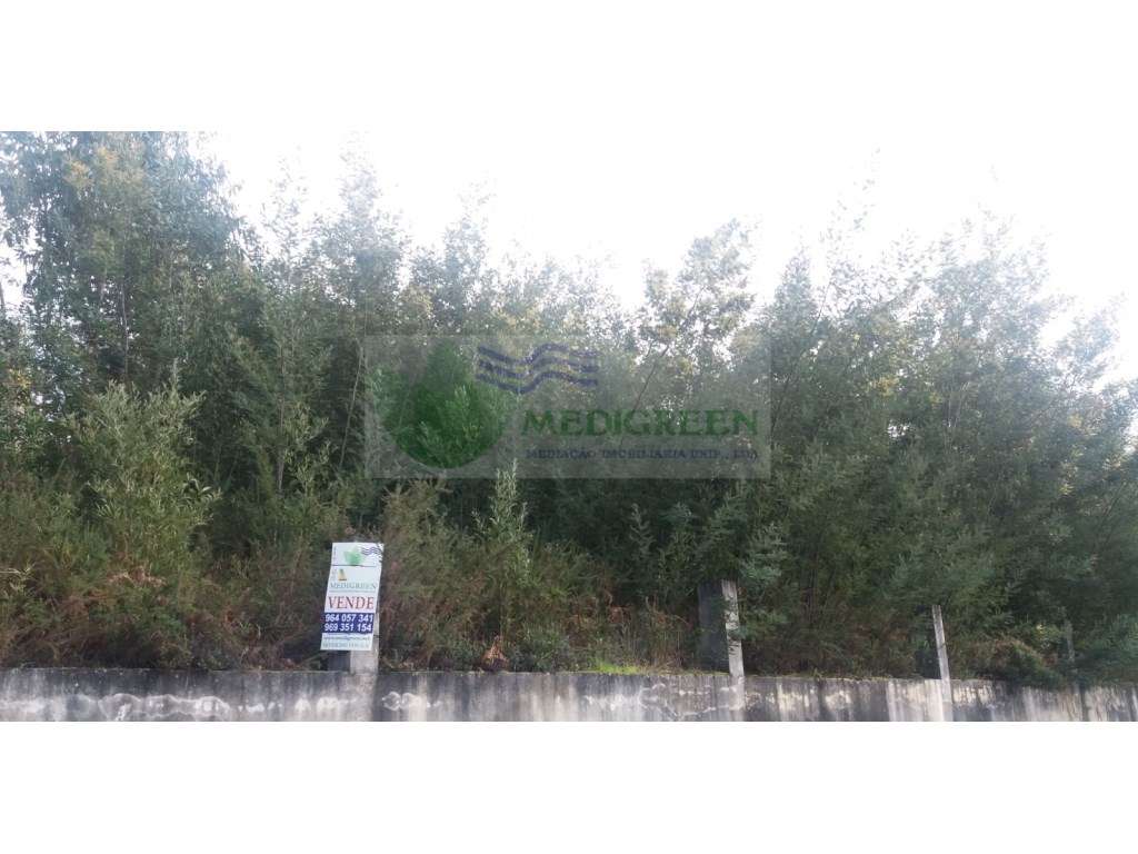 TERRENO PARA CONSTRUÇÃO EM CEDRIM E PARADELA - Grande imagem: 5/5