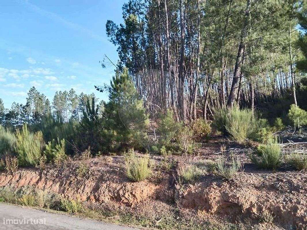 Terreno  para arrendamento - Grande imagem: 2/3