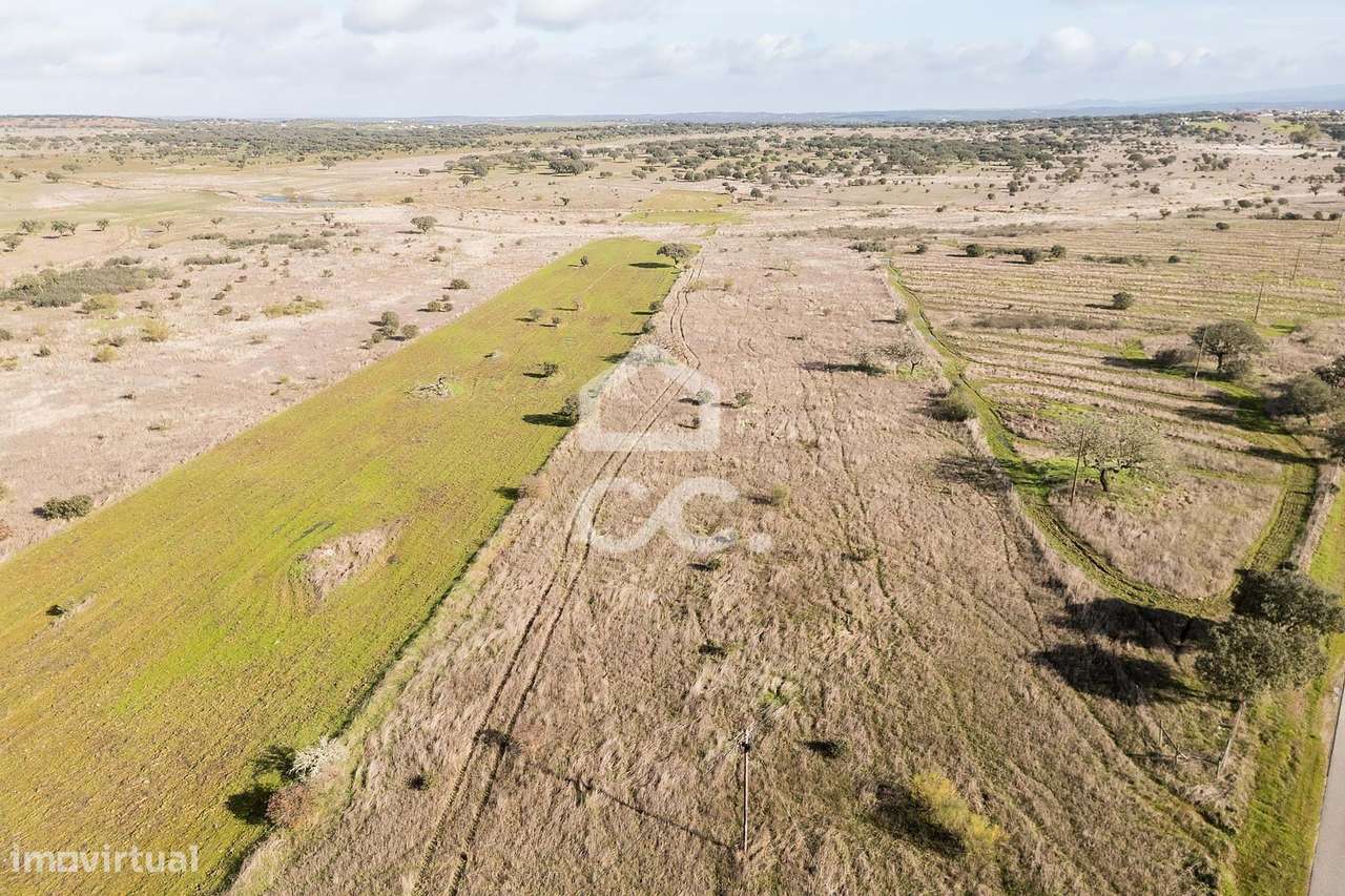 Terreno de 5,4 ha c/ Viabilidade de Construção | Capelins, Alandroal-16