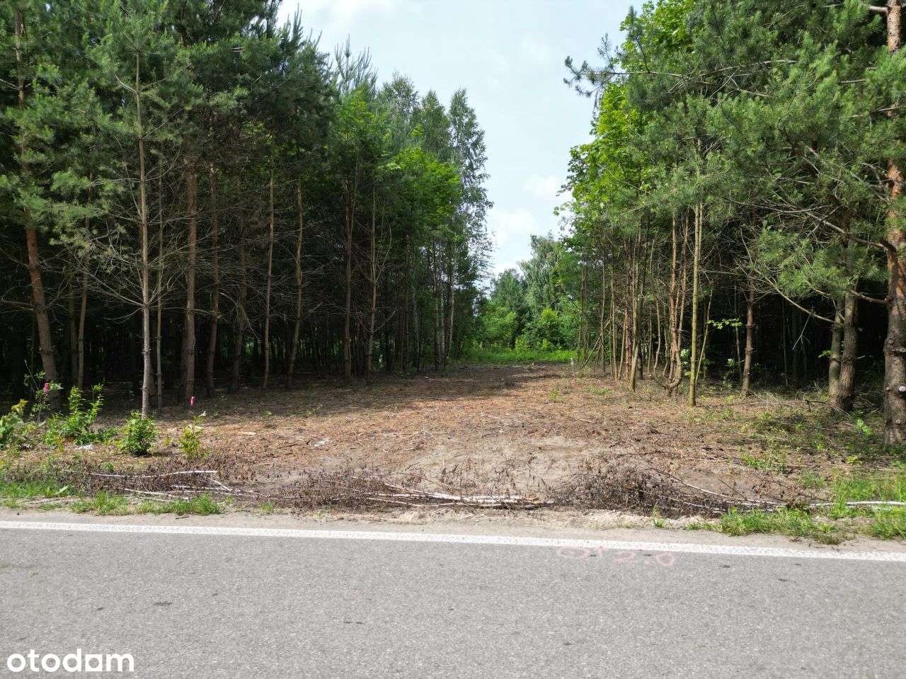 Działka budowlana bardzo blisko Narwi. 1146 M - Pełny obrazek: 5/18