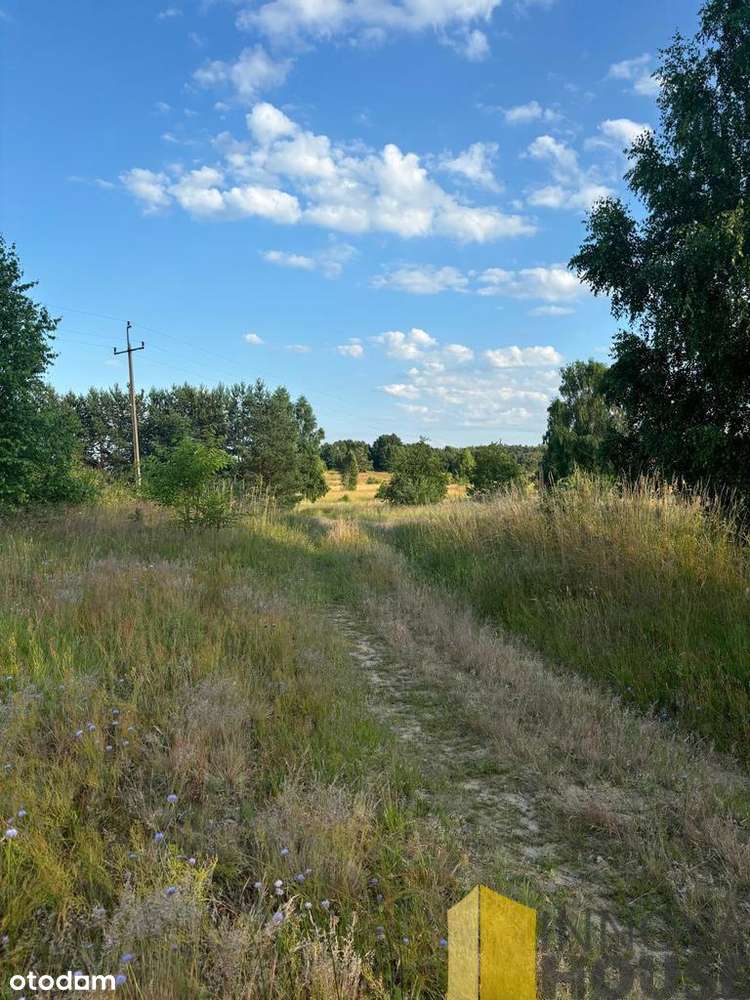 Działka 2594m, Gardna Wielka, jezioro Gardna - Pełny obrazek: 4/12