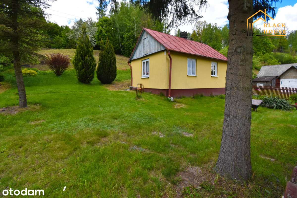 Siedlisko z duszą – Witoszyn, gmina Kazimierz Doln - Pełny obrazek: 5/20