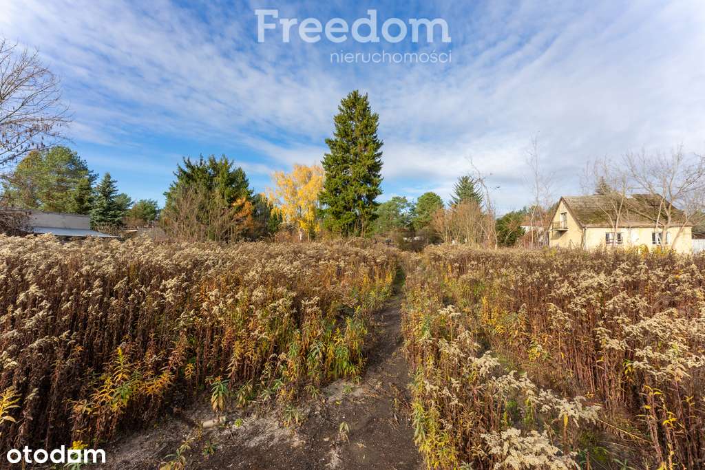 Działka 151 przy rzece Jeziorki — Wólka Kozodawska - Pełny obrazek: 5/18