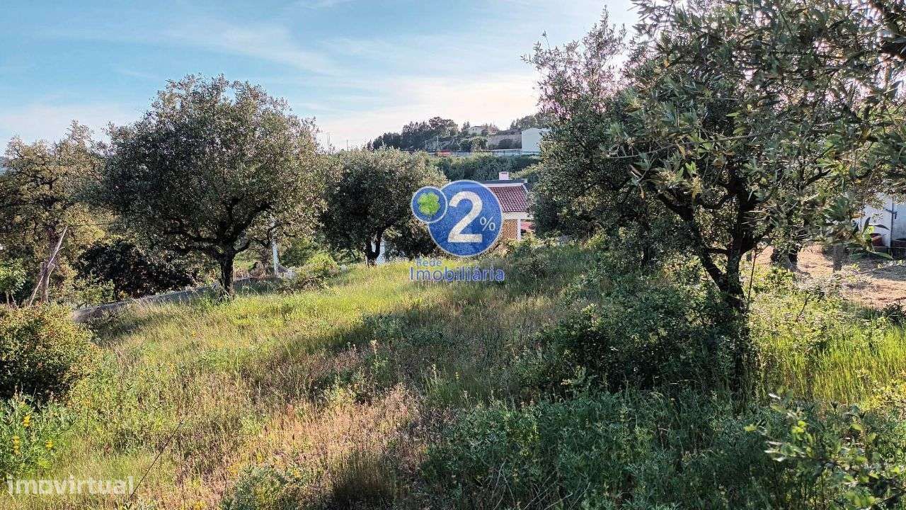 Terreno para Construção - Cortes-2