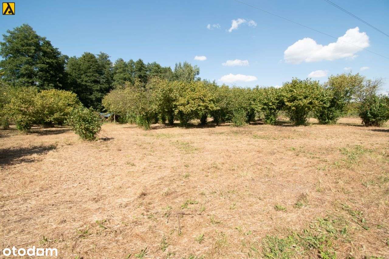 Działka 2997 m2, Czarne Błoto - Pełny obrazek: 3/4