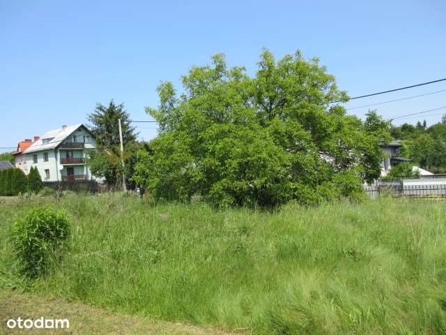 Dom do remontu 60m2 Libiąż.REZERWACJA! - Pełny obrazek: 4/4