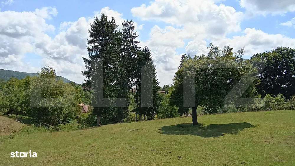 Cabana cu teren intravilan 18.449 mp – Paingeni | 7,5 €/mp | Veder - Imagine principală: 4/7