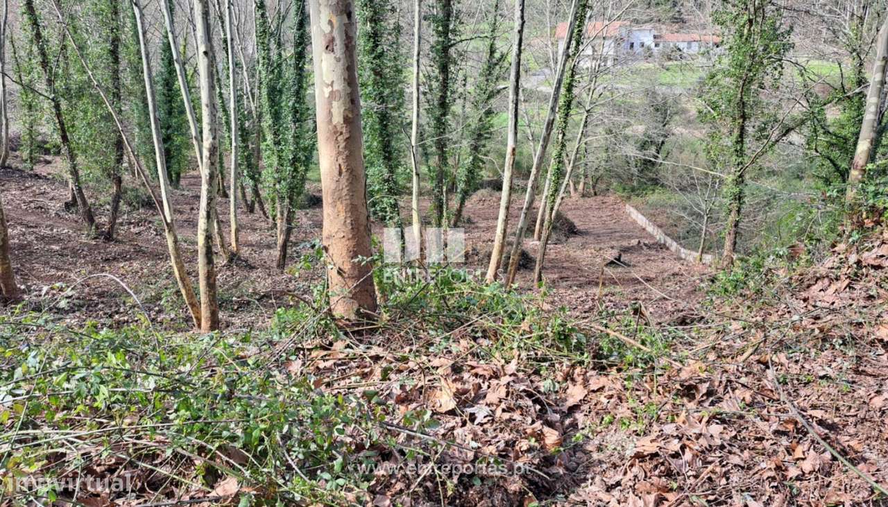 Venda Terreno, Vila Boa de Quires, Marco de Canaveses - Grande imagem: 5/17