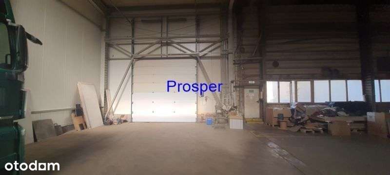 Produkcja hala z suwnicami 4T oraz 3,2T - Pełny obrazek: 2/2