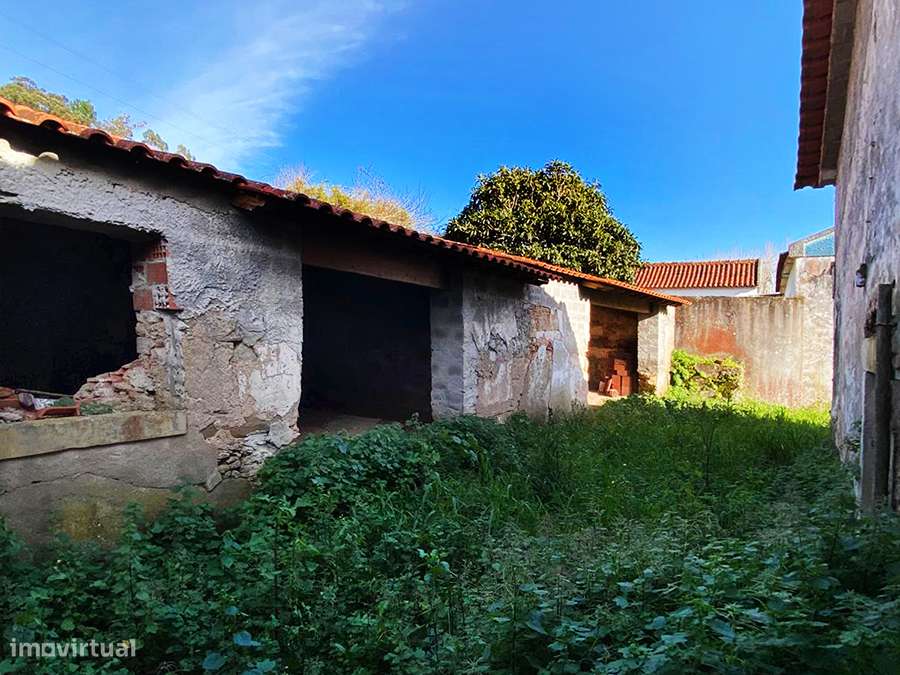 Adega e anexos para recuperar, com logradouro, a 10 min de C da Rainha-7