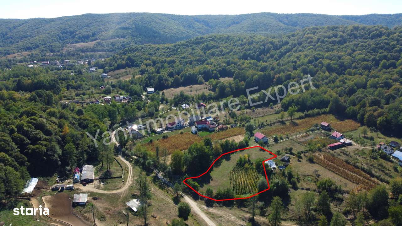 Teren de vânzare în comuna Băiculești, sat Tutana, județ Argeș. - Imagine principală: 3/10