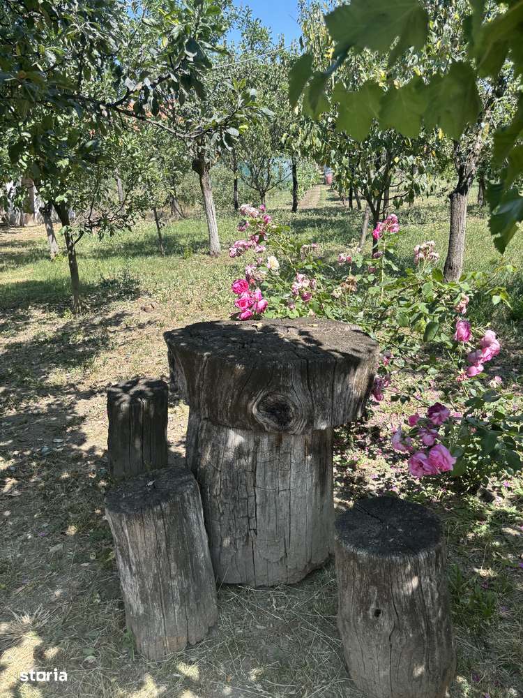 Vand casa cu teren 3900 mp Sag 280000 euro-15