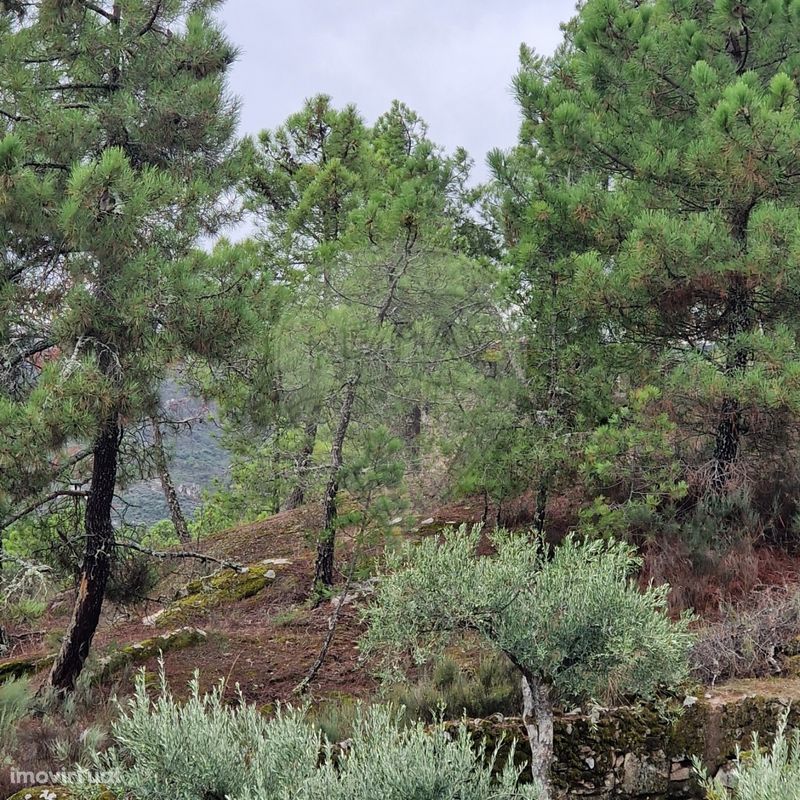 Terreno  para venda