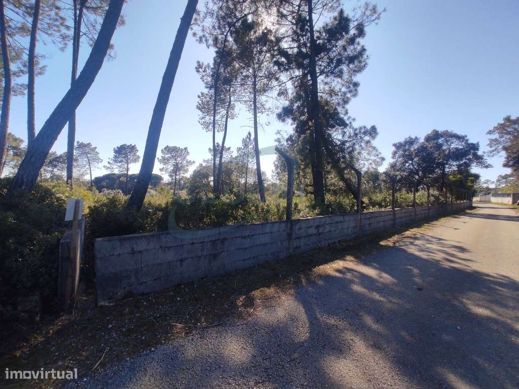 Refúgio natural com 6.985 m², eletricidade, poço e múltiplas possib... - Grande imagem: 5/12