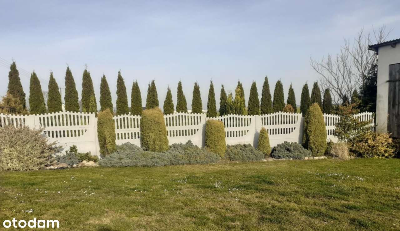 Sprzedam działkę rolną zabudowaną domem i budynkami gospodarczymi - Pełny obrazek: 4/18