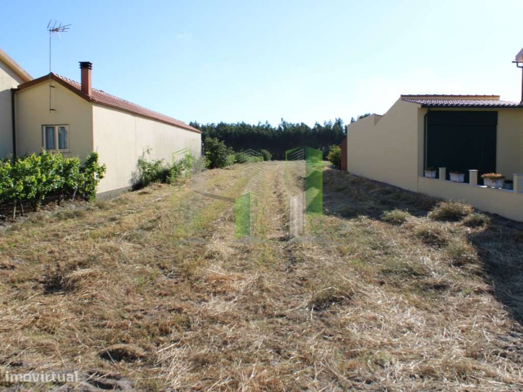 Terreno Venda Figueira da Foz - Grande imagem: 5/8